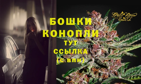 шишки Богородицк