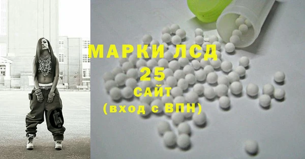 шишки Богородицк