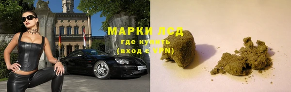шишки Богородицк