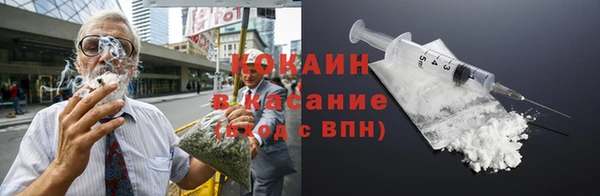 шишки Богородицк