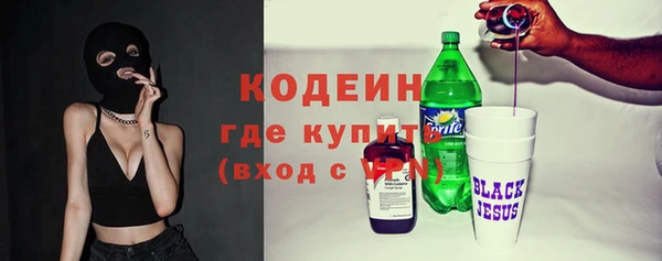 шишки Богородицк