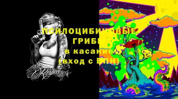 не бодяженный Богданович