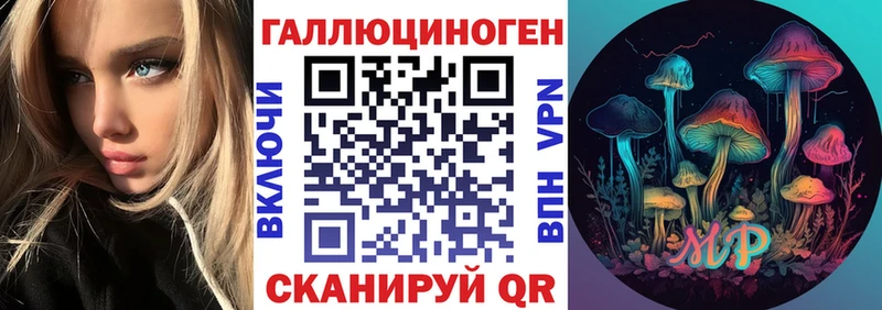 Псилоцибиновые грибы Psilocybine cubensis  купить наркотики цена  Макаров 